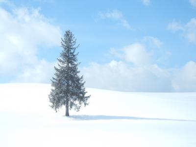 雪の美瑛と流氷の網走