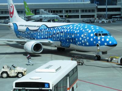 那覇空港の飛行機　色々