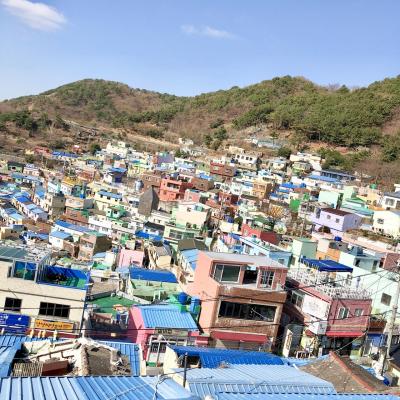 12回目の韓国は、初釜山