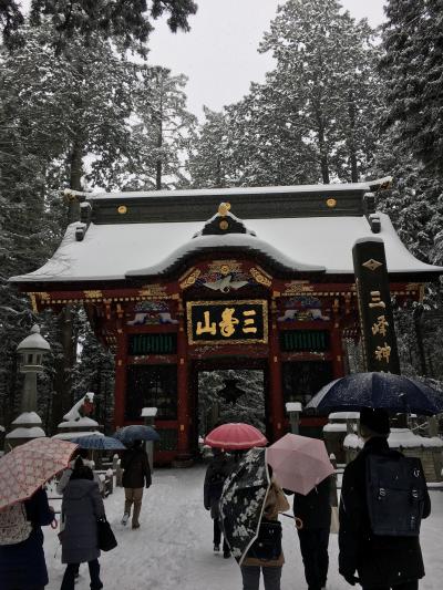 まさかの雪の中三峯神社へ！はとバスツアー