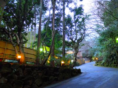 海石榴(つばき)へ~晴れの日はたこむすびを買って