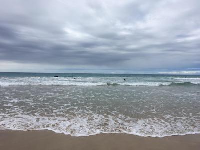 2018年2月雨季のハワイ島4泊&amp;オアフ島4泊 　③ハワイ島ワイピオ渓谷→ハプナビーチ