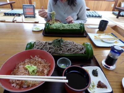 ０２．桜と水仙を見る節分のHJ下田１泊　わさび園 かどやの昼食