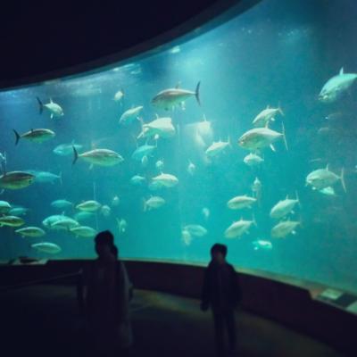 愛する水族館