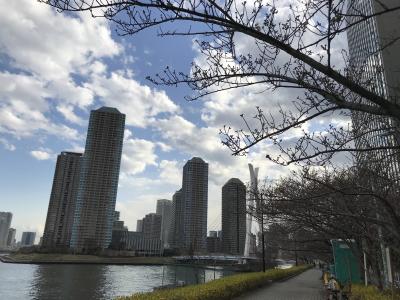 隅田川テラスツアー、昭和の浅草地下商店街でランチ、吾妻橋から月島、ちょっと小洒落た上海ダイニングへ GO GO！