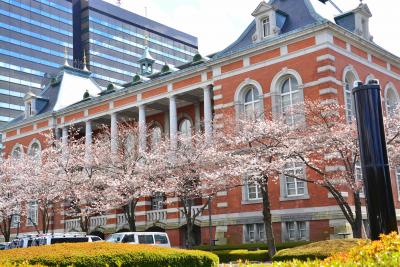 「　満開近い　都心の桜めぐり　　國神社～千鳥ヶ淵　」　2018