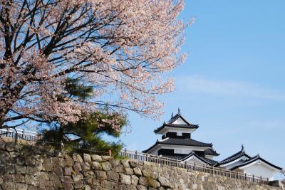 ひとりお花見部2015　福島 白河篇