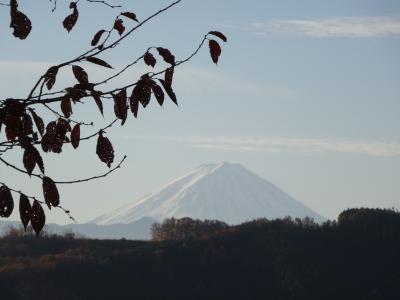 山梨いなか体験第三弾・ミツロウキャンドル作りと虫探し その２