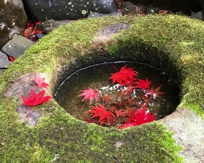 日帰りで紅葉の京都　人が少ない穴場の名所めぐり