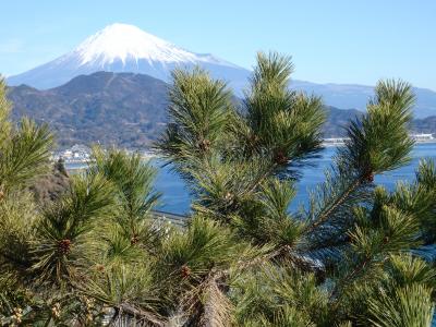 【静岡】富士山を巡る旅2018(さった峠・日本平・用宗・浜岡砂丘・弁天島）
