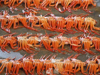 海鮮&地酒!冬の富山を食べ歩き!