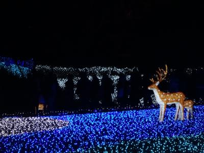 三連休で冬の京都・奈良【2日目・奈良後半】
