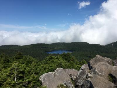【長野】白駒池・高見石とJR最高地点へ山と電車旅
