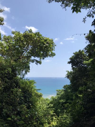 はじめての沖縄