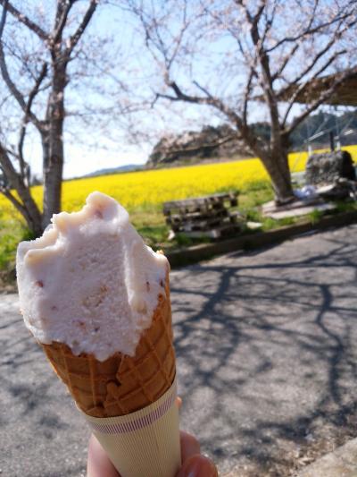 房総の春めぐり　地元おさらい