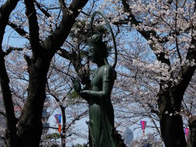 ２０１８　飛鳥山は花盛り　２５０万アクセス　感謝編