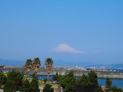 焼津日帰り旅～息子部活の応援で～