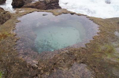 奄美大島（名瀬、島北編）