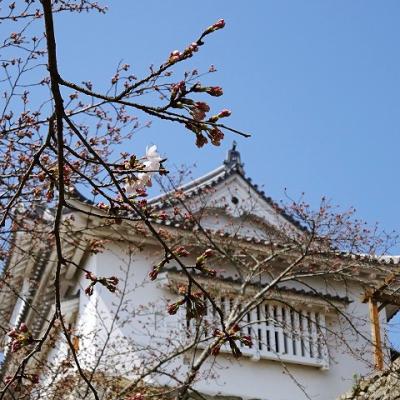 桜には少し早かった津山城！湯郷温泉でのんびり