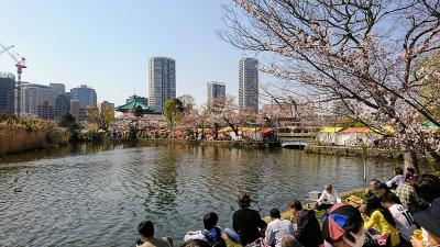 上野公園から不忍池へお花見散歩