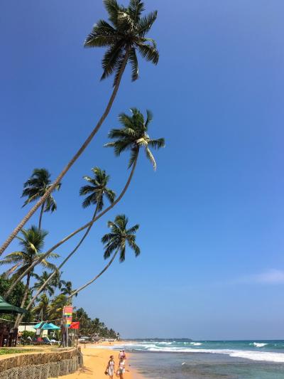 南アジア縦横断の旅（2）Sli Lanka《ヒッカドゥア。常夏ON THE BEACH》