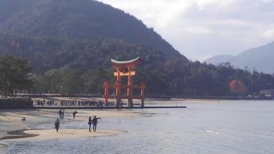 シニアトラベラー!1泊2日宮島・岩国・広島満喫の旅！』宮島・厳島