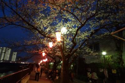 柏尾川の夜桜－2018年