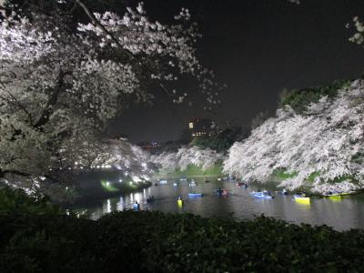 2018年3月　夜桜（千鳥ヶ淵）