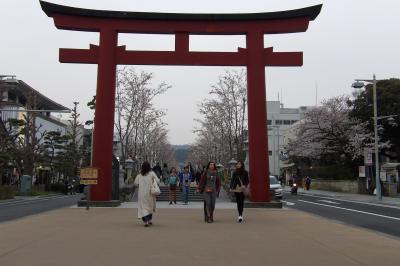 段葛－2018年桜の頃