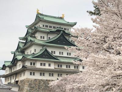 初めての名古屋⑤天守閣解体前・桜満開の名古屋城へ