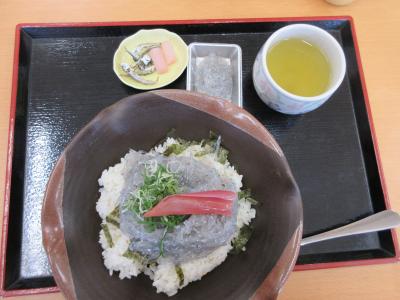 日本桜の名所100選”高知県立鏡野公園”に花見～安芸しらす食堂で昼食