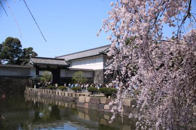 ブララブコー 「一網打尽！東京桜の名所巡り その2 ～皇居 坂下門編～」