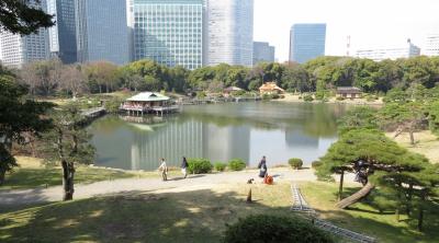 徳川将軍家の庭園・・潮入の池と鴨場を持つ、浜離宮恩賜庭園をめぐります。