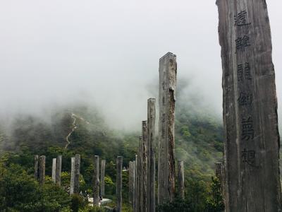 変わりゆく香港を見てきた②ひとり旅2