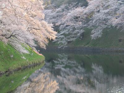 ２０１８年東京都内の桜巡り