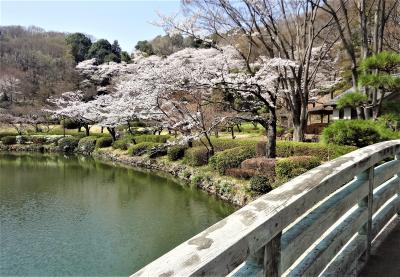 薬師池公園の桜と相模原市立博物館・JAXA相模原キャンパス見学