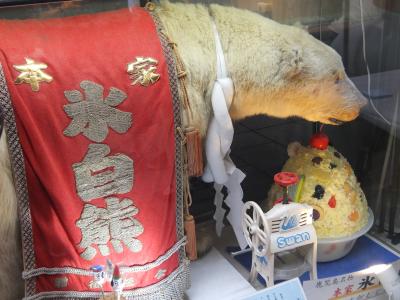 '17 GW 兄妹3人旅 鹿児島編-1