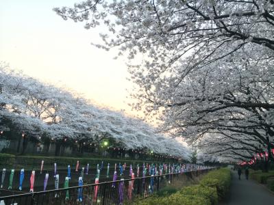 穴場スポット館林