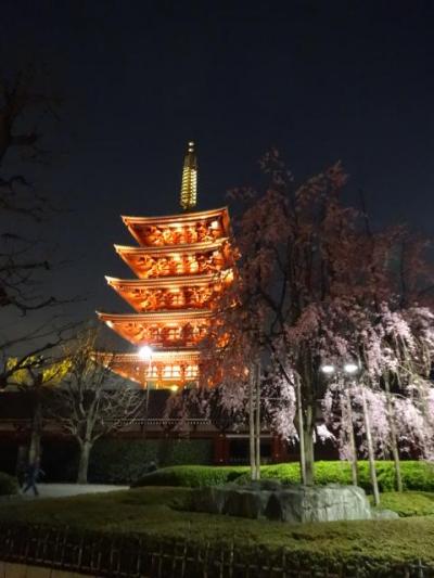 浅草で桜　２０１８