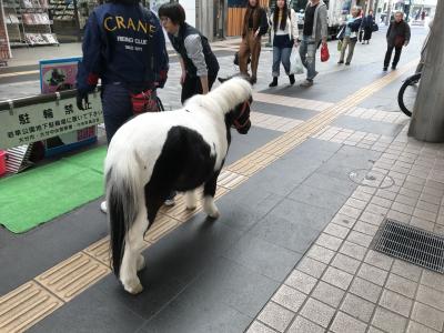 ♪18年03月30日 金 全店舗制覇をめざして 珈琲所コメダ珈琲店大分中央町店へ