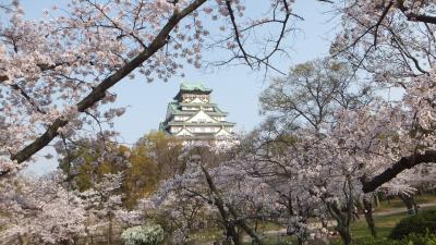 3/29大阪城も満開でした!