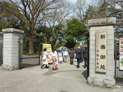 ２０１８年 お花見　その（3） 東京・新宿御苑