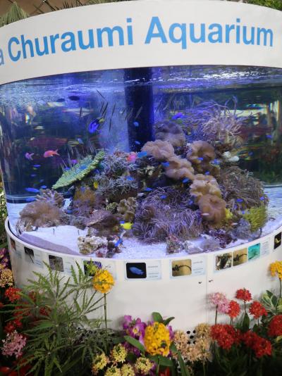 世界らん展-4　「楽園・南国・熱帯」テーマに　☆沖縄美ら海水族館の水槽展示も