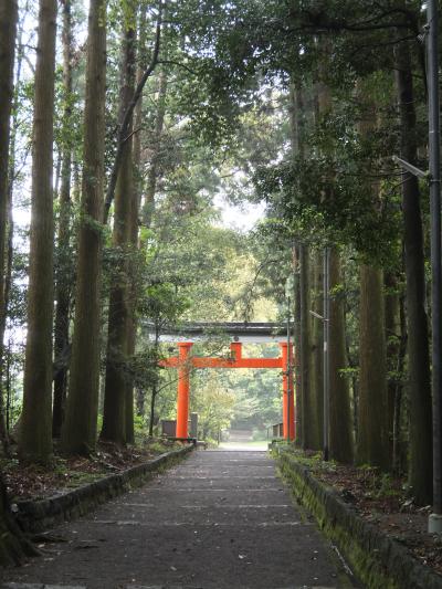 ’17 GW 兄妹3人旅 鹿児島編‐2