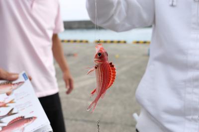 2018年　初めての宮古島　三日目　漁港釣り～鍾乳洞探検