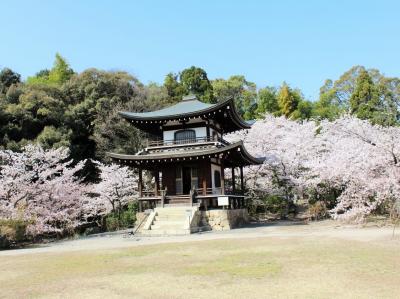 今日は晴れ♪桜は満開♪♪それなら1人でお出かけしちゃおう！2018年「そうだ京都、行こう」キャンペーン寺院の勧修寺へ
