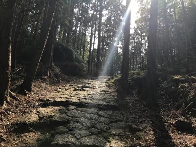 青春18切符の旅2018年3月：名古屋発。紀勢本線～熊野古道（熊野市）ウォーク～
