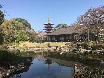 浅草街歩き♪ サクッとお花見へ