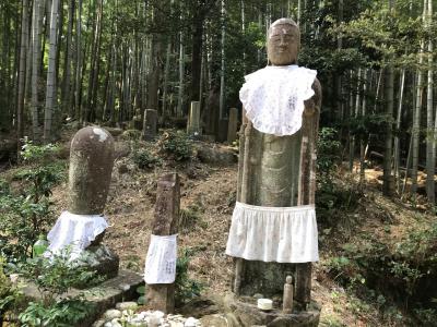 熊野古道ウォーク:有井～鬼ヶ城～大泊（熊野市）