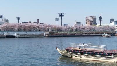 ぶらり兄さんぽ ~桜狩りに隅田堤へ~